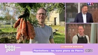 La maison Bonjour : Plantations, les bons plans de Pierre