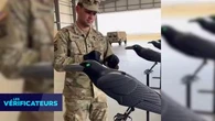 VÉRIF' - "La bataille du futur" : l'armée américaine a-t-elle développé "des drones corbeaux" capables de passer inaperçus ?