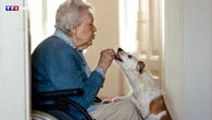 Chat, chien, lapin... Est-il possible de vivre en Ehpad avec son animal de compagnie ?