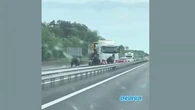 Les images hallucinantes d'une course-poursuite entre des gendarmes et des chevaux sur l'autoroute