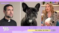 Simple comme Bonjour ! : Tel maître, tel chien ?