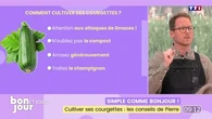 Simple comme Bonjour ! : Cultiver ses courgettes, les conseils de Pierre