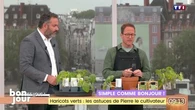 Simple comme Bonjour ! : Plantes grimpantes, Pierre le cultivateur vous répond