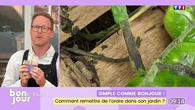 Simple comme Bonjour ! : Comment remettre de l’ordre dans son jardin ?
