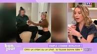 Offrir un chien ou un chat, la fausse bonne idée ?