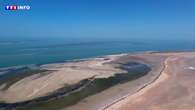 VIDÉO - Mauritanie : le parc national du Banc d'Arguin, le refuge des oiseaux migrateurs