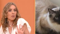 "Il a besoin de présence humaine" : attitude distante, caractéristiques physiques... Une vétérinaire tord le coup à toutes les idées reçues sur les chats