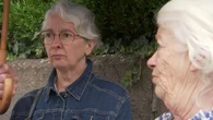 "J'ai eu une grosse dizaine de piqûres" : deux victimes témoignent après l'attaque massive d'abeilles à Aurillac