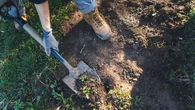 Vieux slips et sachets de thé : comment savoir si la terre de votre jardin est en bonne santé ?