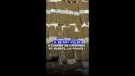 "Il va y avoir une livraison de drogue" : il se fait voler 9 tonnes de cannabis... et appelle la police