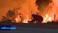 VÉRIF' - Gare à cette belle histoire d'un petit lapin sauvé in extremis à Los Angeles : ces images datent de 2017