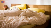 Acariens : vous ne ferez plus votre lit le matin après avoir lu cet article