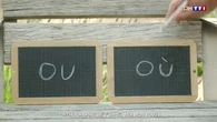 Orthographe : je t'aime... moi non plus !