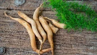 Sauvage et méconnue, cette plante phare de l'ayurveda est une alliée pour les femmes