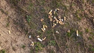 "Parce que je n'ai rien sous la main" : un fumeur sur cinq jette ses mégots par la fenêtre de son véhicule