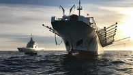 Près d'1 poisson sur 5 pêché illégalement : comment la France veut lutter contre ce fléau des océans