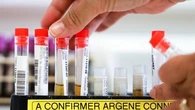 Chikungunya à Mayotte : plus de 170 cas recensés depuis fin mars, le plan Orsec renforcé