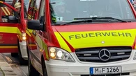 Trois morts, dont un bébé, après une chute d'arbre en pleine chasse aux œufs de Pâques en Allemagne