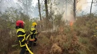 Une lutte acharnée contre les flammes : TF1 aux côtés des pompiers qui tentent de fixer l'incendie en Gironde