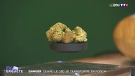 Danger : quand le CBD se transforme en poison
