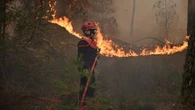 "Dès qu'il y a un petit peu de vent, ça renaît" : le feux "zombie", cet ennemi invisible qui complique le travail des pompiers