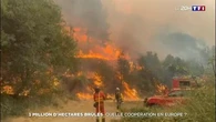 Un million d'hectares brûlés : quelle coopération en Europe ?