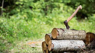 A-t-on le droit de couper son bois de chauffage en forêt ?