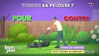 Pour ou contre : Faut-il tondre sa pelouse ?