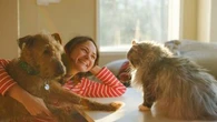 "C'est une bulle de bonheur, une cure de bien-être, un médicament anti-stress" : une étude confirme l'effet anti-stress des animaux de compagnie