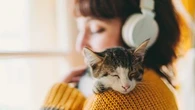 "Certains sont timides" : regardez les effets surprenants de la musique sur les animaux de ce parc du Morbihan