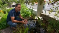 "C'est un peu surprenant" : éliminer les moustiques en installant des mares, une technique contre-intuitive... qui fonctionne