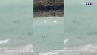 Piégés par la marée : des promeneurs sauvés in extremis à Saint-Malo