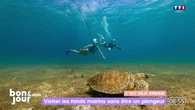 Une innovation pour démocratiser la plongée sous-marine : ce masque de plongée avec flotteur permet d'explorer les fonds marins jusqu'à 3 mètres