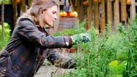 Que faire dans son jardin en octobre ? Ces petits travaux à ne pas oublier