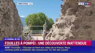 Pompéi : de nouvelles fouilles montrent des traces de vie après l'éruption