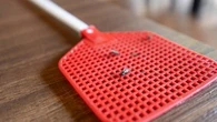Ma maison est envahie par les mouches à cause du poulailler voisin, que faire ? Le 13H à vos côtés
