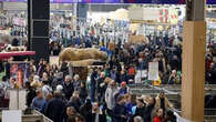 Salon de l'agriculture : fréquentation en légère hausse et sérénité "retrouvée"