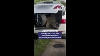 600 kg de cannabis saisis dans un 4x4 en route pour la France