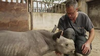 "En un dixième de seconde, tout peut basculer" : le quotidien hors norme des vétérinaires de la faune sauvage