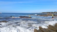 Loire-Atlantique : pourquoi les secours ont finalement renoncé à sauver un cachalot échoué sur une plage