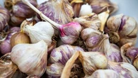 Voici pourquoi vous devriez commencer à cultiver de l’ail violet