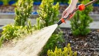 Surtout, n'arrosez jamais vos plantes à cette heure-ci, sous peine de leur faire plus de mal que de bien