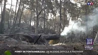 Forêt de Fontainebleau : un incendie difficile à maîtriser