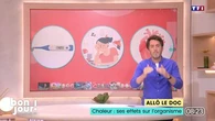 Allô le doc : Chaleur, ses effets sur l’organisme