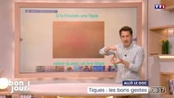 Allô le doc : Tiques, les bons gestes