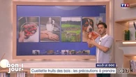 Allô le doc : Cueillette fruits des bois, les précautions à prendre