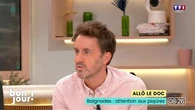 Allô le doc : Baignades, attention aux piqûres