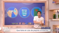Allô le doc : Que faire en cas de piqûures d'insectes ?
