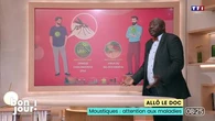 Allô le doc : Moustiques, attention aux maladies