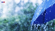 VIDÉO - Froid et pluie : quand la météo joue sur notre humeur